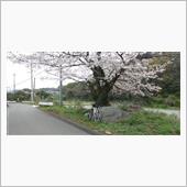 プチツー中止