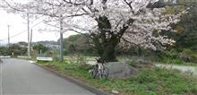 プチツー中止