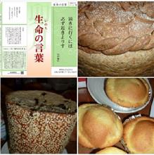 令和 六年 四月 『生命の言葉』中庸：　２８℃の夏日だったけどまだぁ・🌸🌸