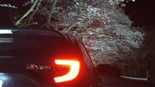夜桜を見に行ったのさ～