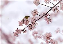 年度最後の休めてない土日!😅 年度最後の休めてない土日!😅