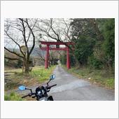 まったりお花見ライド！赤岩大 ...