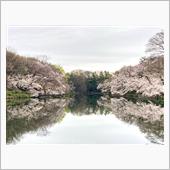今朝の井の頭公園  もう少し ...