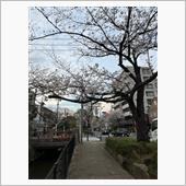今週末かな〜
