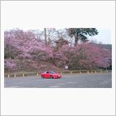 高遠城址公園