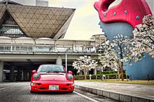 チューリップ畑・桜、９３０車検終了　～ Weekday Drive！