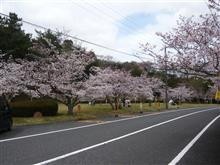 深山公園花見（7分）