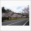 深山公園花見（7分）