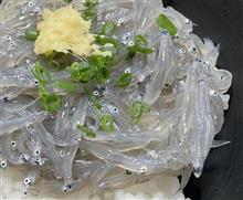 富士市_田子の浦漁港（生シラス丼）_4月6日