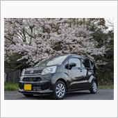 お花見ドライブ