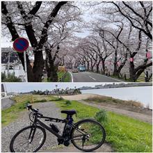脚ならし、バッテリ走行距離確認