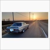 春の洗車まつりw