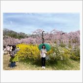 桜🌸咲くドライブ&amp;ランチ①