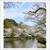 ウォーキング 井の頭公園は満 ...
