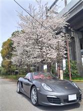 桜とボクスター