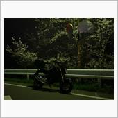 夜桜とキリ番500km @  ...