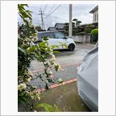 やさしいかほり