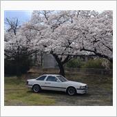 4月はこれだね！