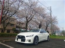 桜を見に行こう🌸2