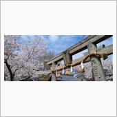 妙見山公園