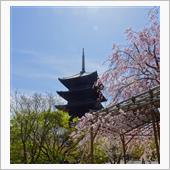 東寺へ行きました！