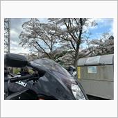 桜プチツーリング。