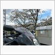 桜プチツーリング。