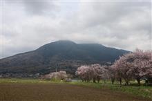 4月の筑波山