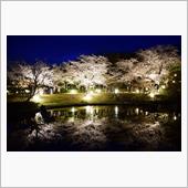 🌸満開の神戸。。。まずは徒 ...