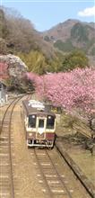 🚙ザ・日光わたらせ紀行 (🌸2024年春) 🚙ザ・日光わたらせ紀行 (🌸2024年春)