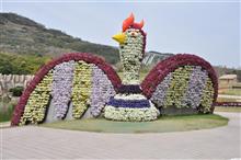 『見ごろ🌷』 明石海峡公園