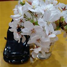 落花