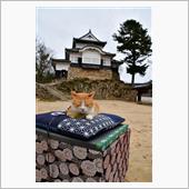 過酷のち爽快　〜現存12天守 ...