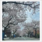 春の訪れ