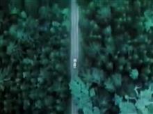 アダルトな車