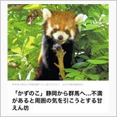 数の子(ΦωΦ)
