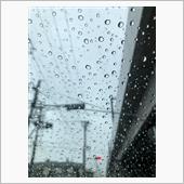 今日は一日雨模様