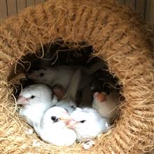 お別れの季節…でした