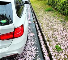 花散らしの雨