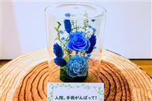 入院。