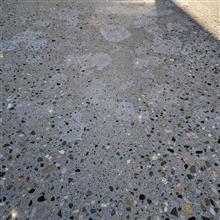 酸性雨が原因じゃなかった 酸性雨が原因じゃなかった