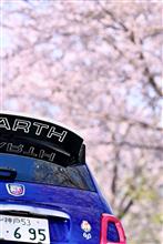 ABARTH695も、桜