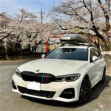 いつもの神社の馬場で 満開の桜を楽しみました♫