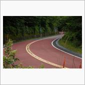 奥多摩周遊道路に出会う