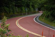 奥多摩周遊道路に出会う