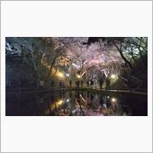 高遠城址公園にて