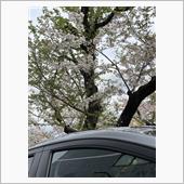お天気は曇り🌥️