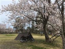 花見デイキャン