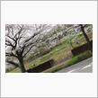 桜より団子(その４)