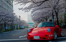 ソメイヨシノ満開　～ Weekday Drive！
